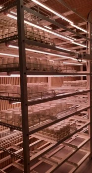 HortBio Technologies