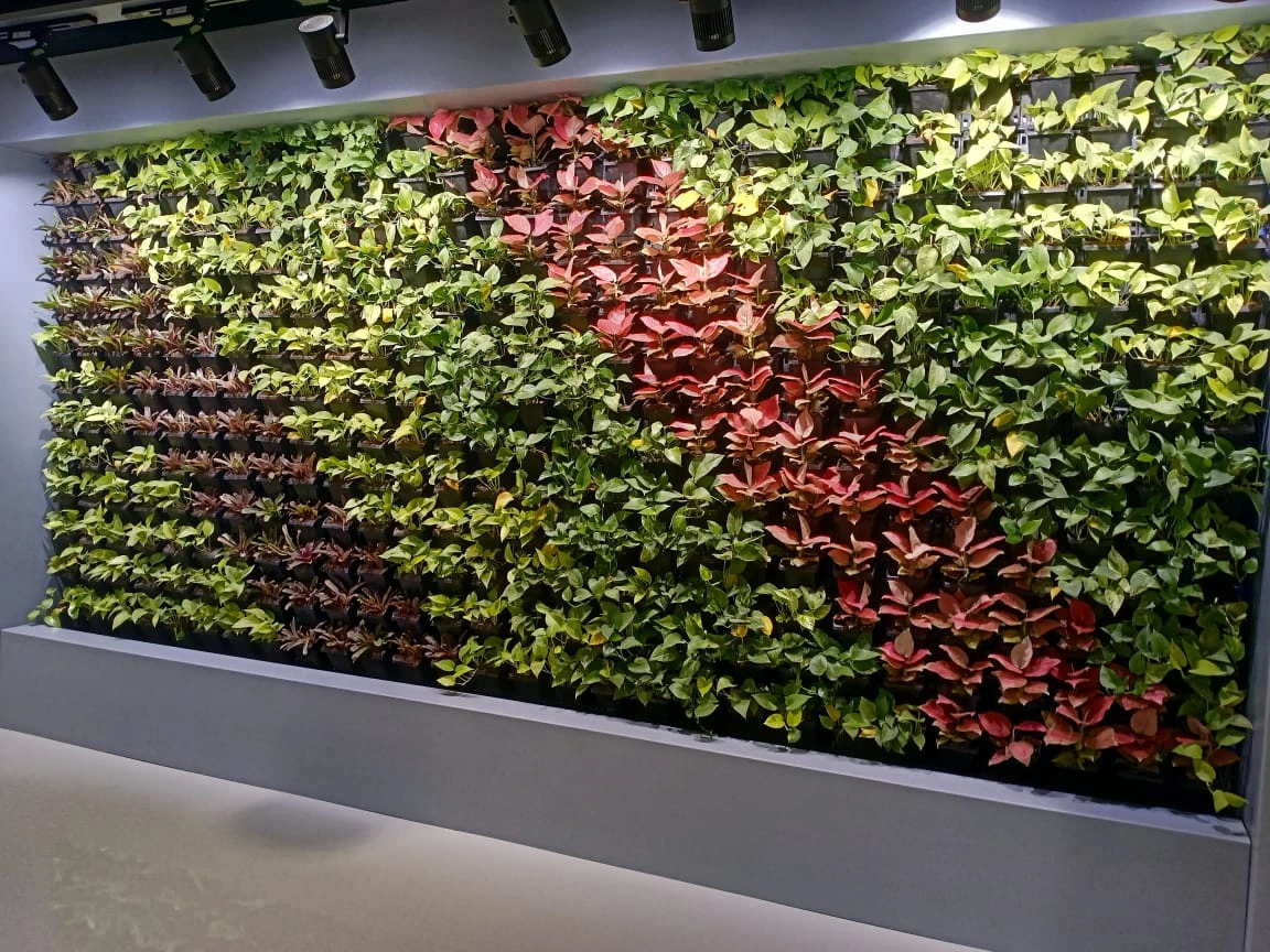 Vertical Green Wall Lighting