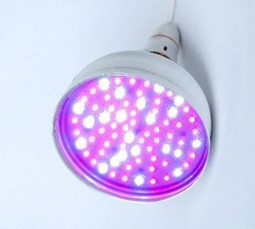 PAR Meter / Quantum Sensor