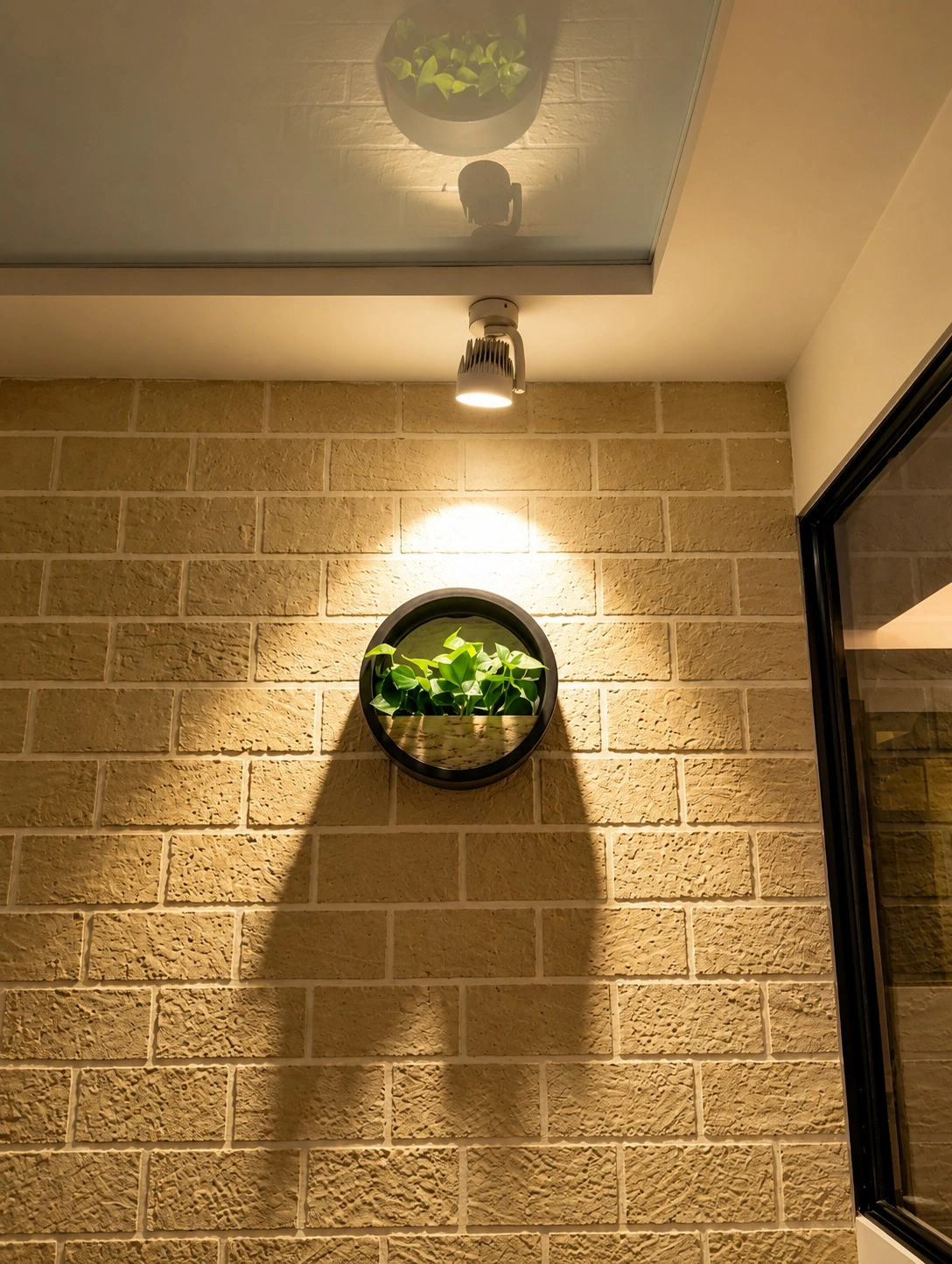 Plant Canopy Light
