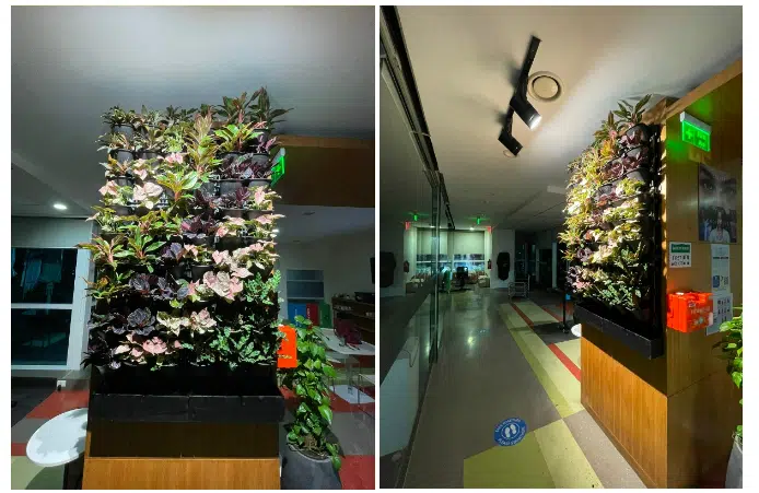 Corporate Office Mumbai Green Wall