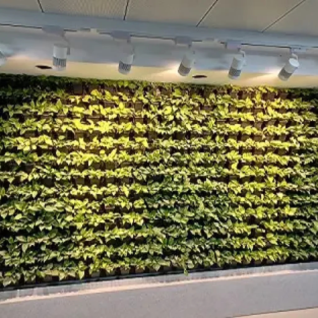 Flash Electronics Pune Green Wall