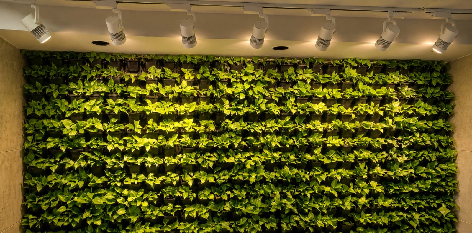 Green Wall Lighting Solution