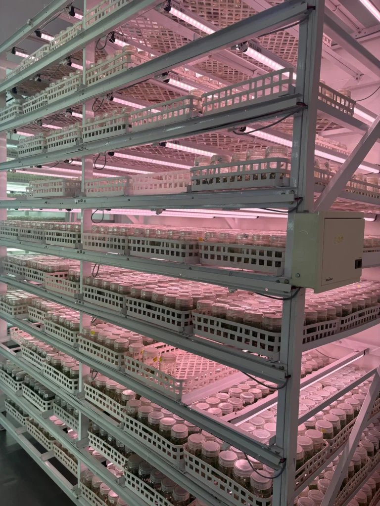 18W 4 Ft Tissue Culture Grow Light Bar - TSGL8