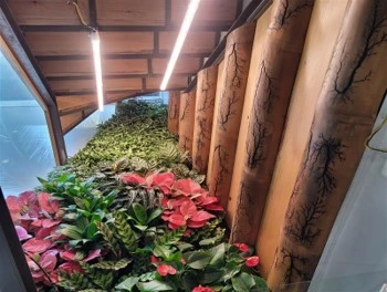 Garden Decor Shop