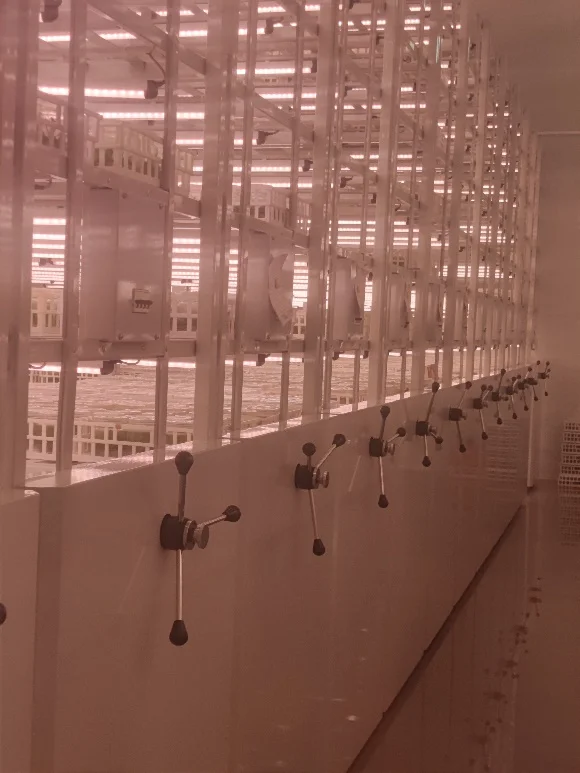 K F Biotech Pvt. Ltd.