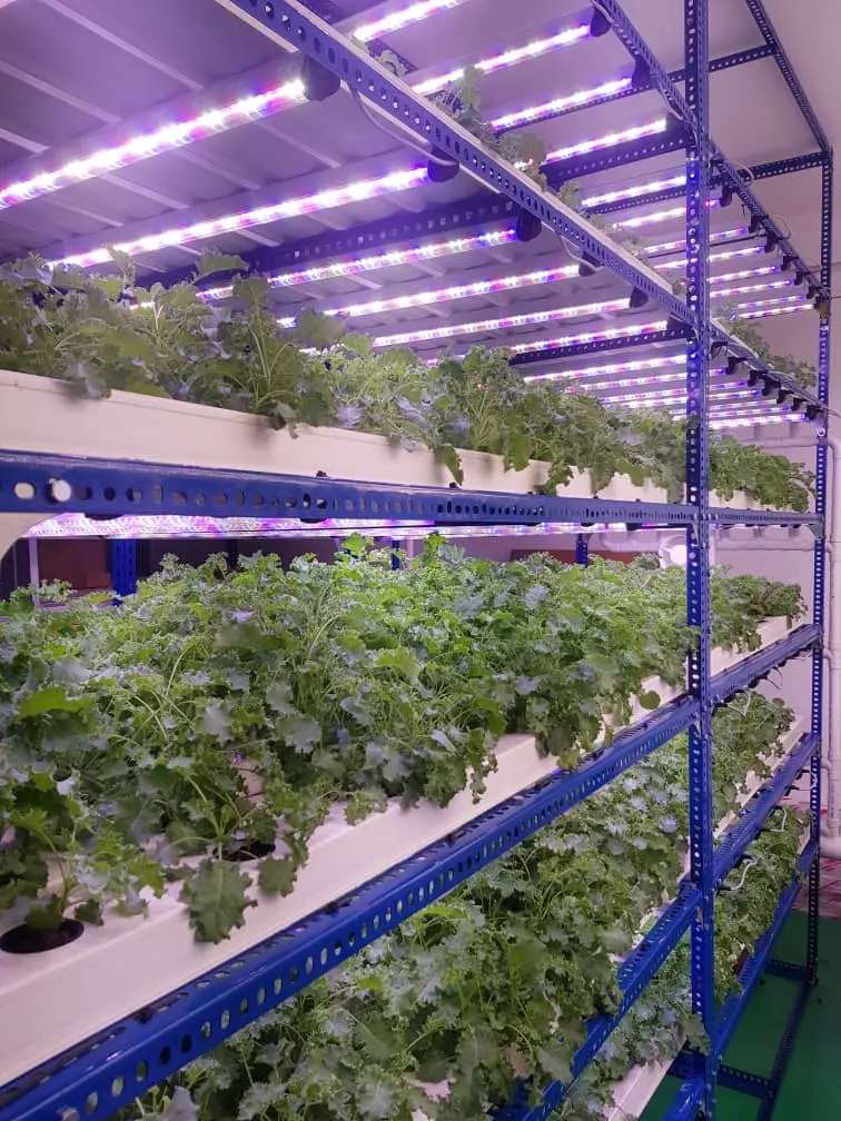Babylon Farm