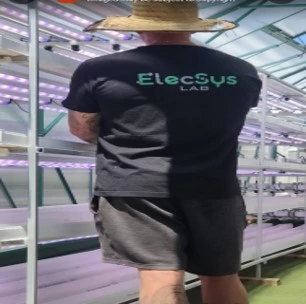 Elecsys Lab