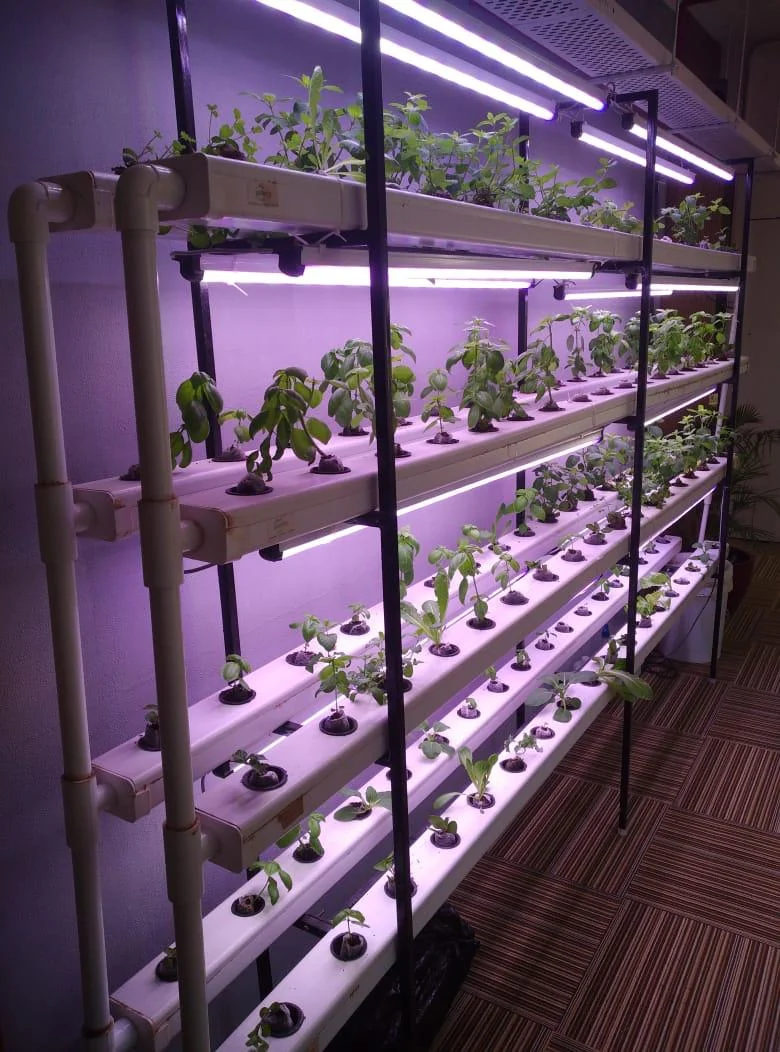 GrowPro