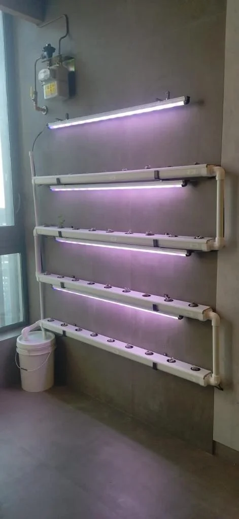 GrowPro