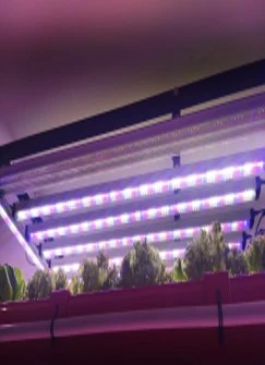 Quatre Agro