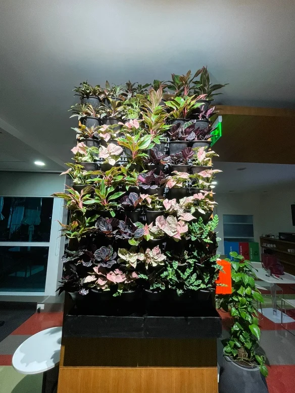 Roof To Roots