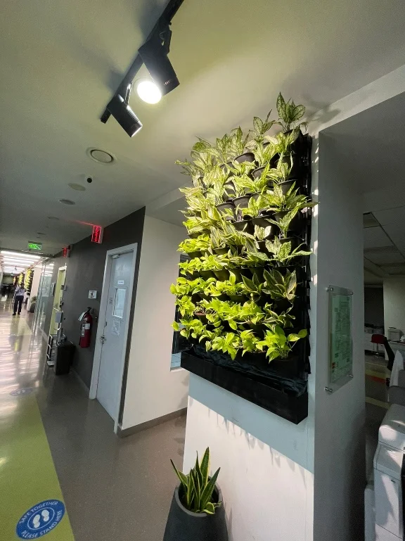 Roof To Roots