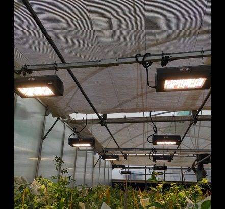 india Supplemental Lights 2
