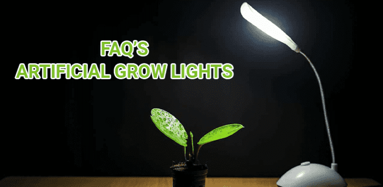 india Artificial lighting