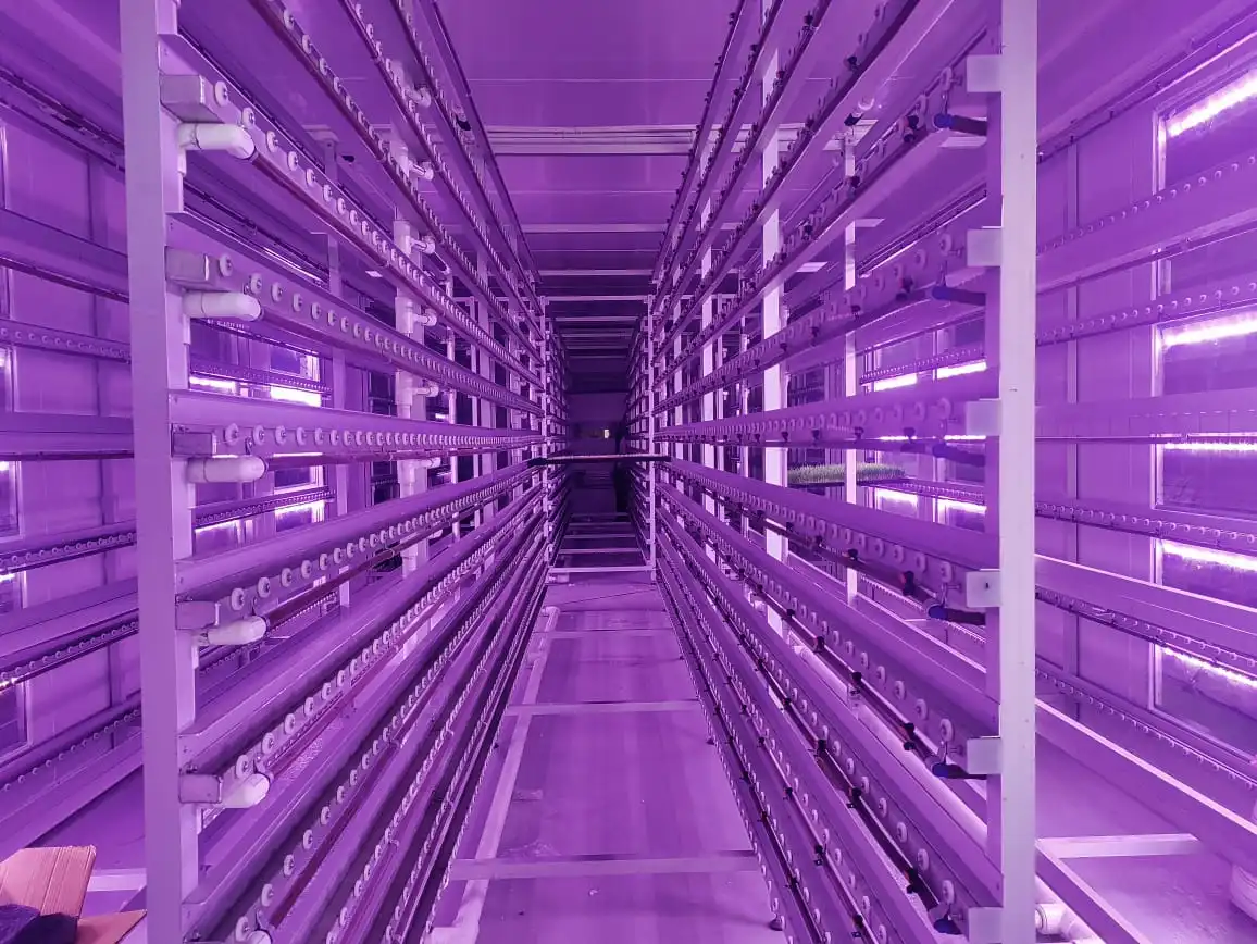 Grow Chambers