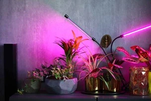 SUSTAINABLE GROW LIGHT SOLUTION2