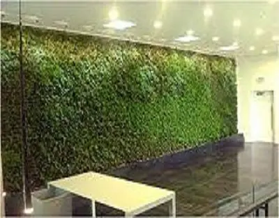 india Green Wall Lighting