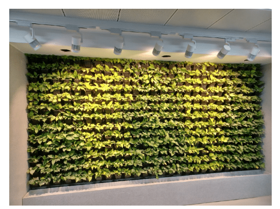 Nexsel Green Wall Lighting Solutions Across PAN India