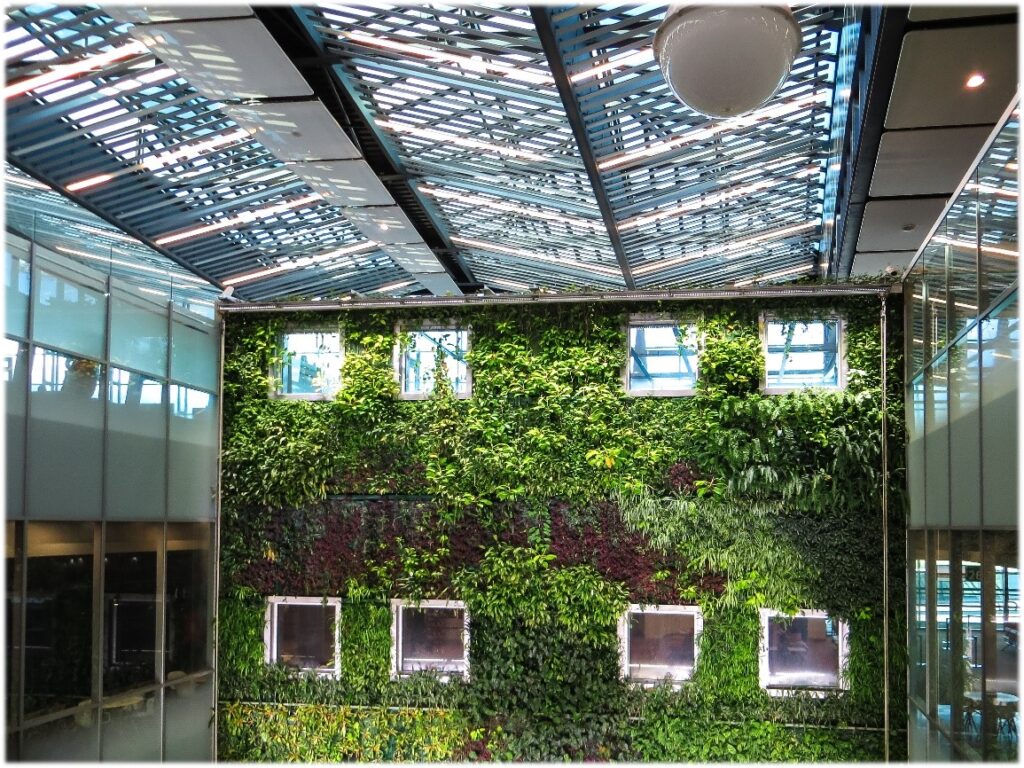 india indoor green wall 2