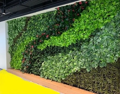 indoor green walls