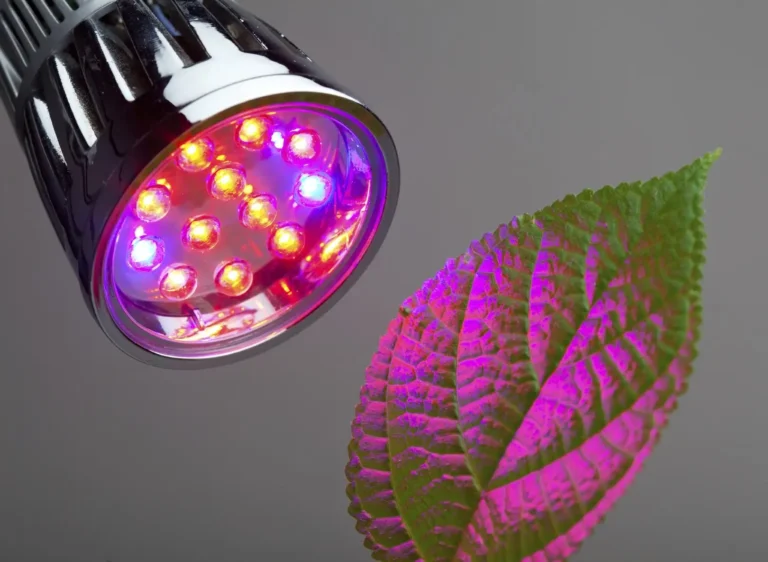 UV Lights for Indoor Plant Growth: A Comprehensive Guide