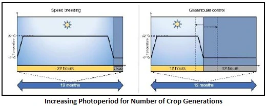 Speed Breeding for Crop Improvement