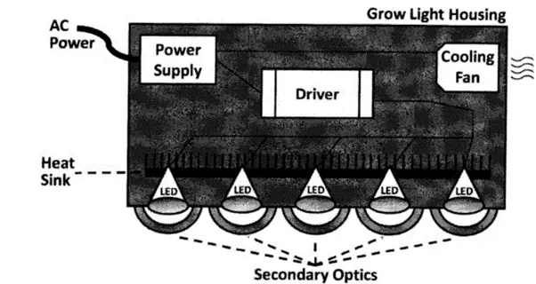 How to Use Grow Lights for Indoor Plants