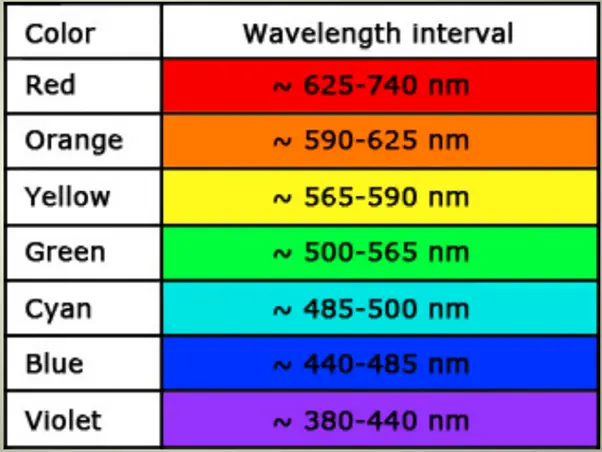 How to Use Grow Lights for Indoor Plants2