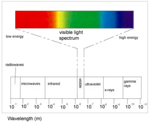 How to Use Grow Lights for Indoor Plants3