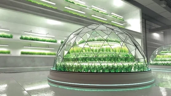 Role of LED Grow Lights For Indoor Gardening In UAE & Middle East 2