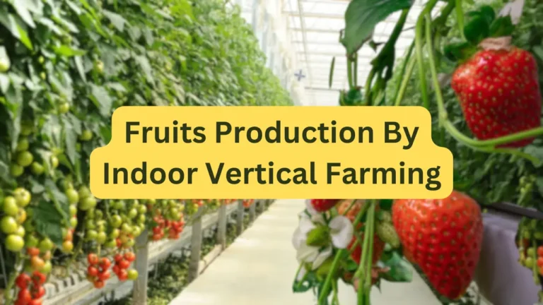 Fruits Production By Indoor Vertical Farming