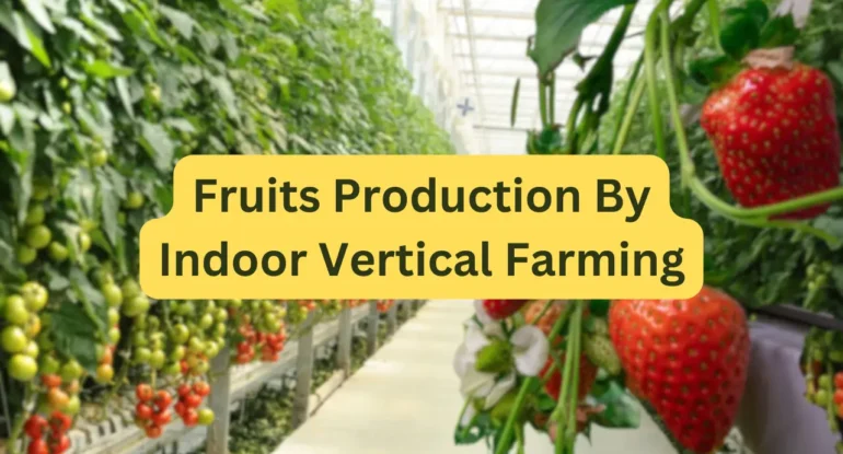 Fruits Production By Indoor Vertical Farming