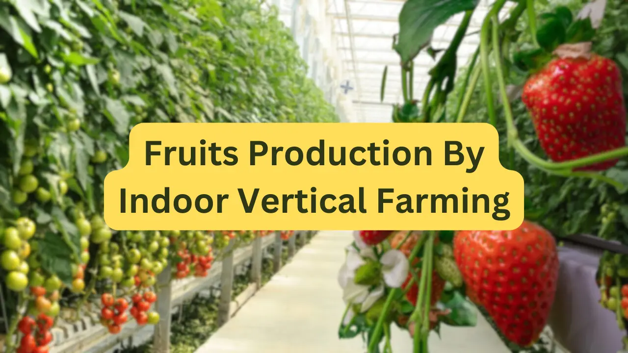 Fruits Production By Indoor Vertical Farming