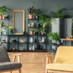 Low Light Indoor House Plants: Effects, Light Impact, and Maintenance Tips for GULF countries