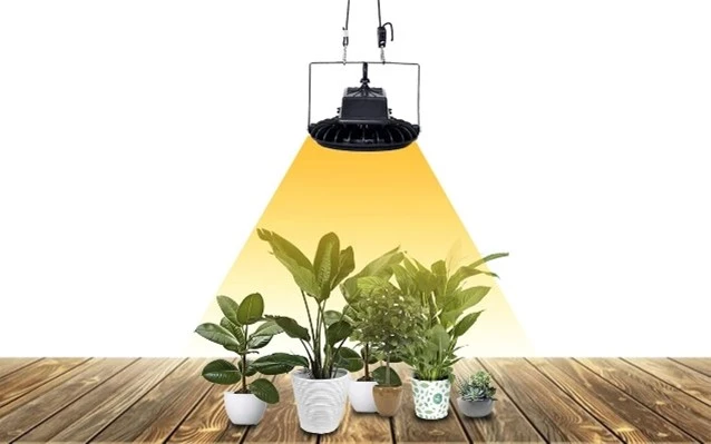 LED Grow Lights for Indoor Plants