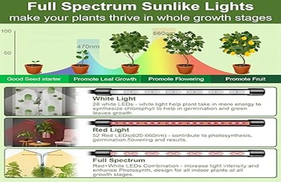 How to Choose the Right Indoor Gardening Light