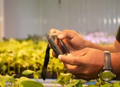 Plant Light Intensity Measurement: Understanding Light for Optimal Growth