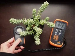 Plant Light Intensity Measurement: Understanding Light for Optimal Growth