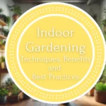 Indoor Gardening : Techniques, Benefits and Best Practices