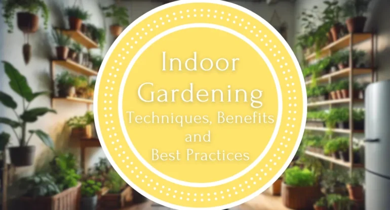 Indoor Gardening : Techniques, Benefits and Best Practices