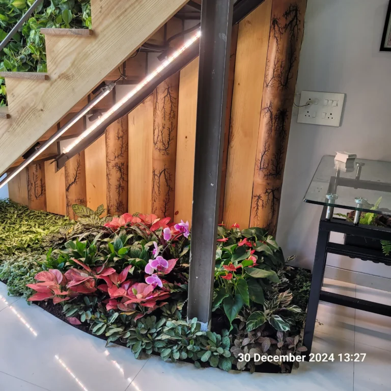 Lighting Tips for Vertical Green Walls and Indoor Plants