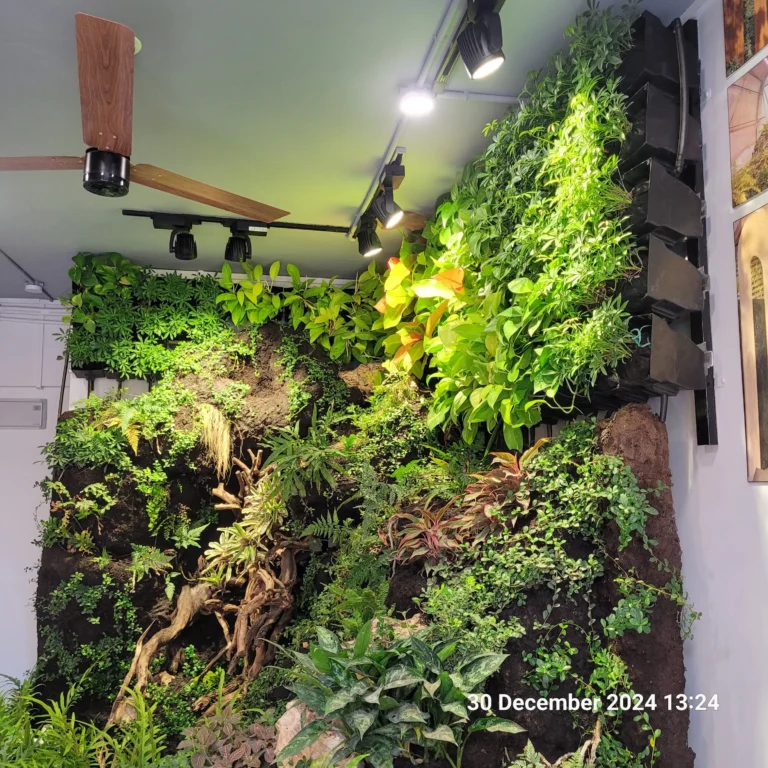 Lighting Tips for Vertical Green Walls and Indoor Plants