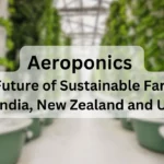 Aeroponics: The Future of Sustainable Farming in India, New Zealand, and UAE