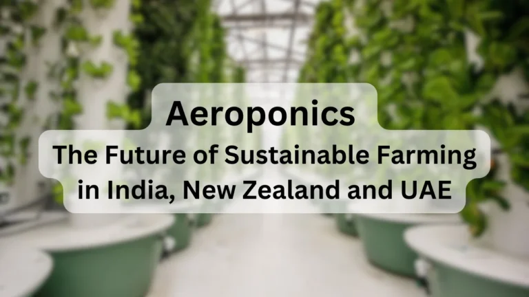 Aeroponics: The Future of Sustainable Farming in India, New Zealand, and UAE