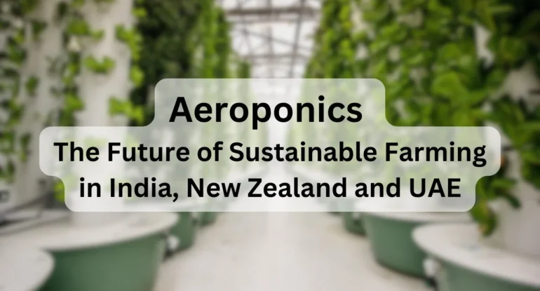 Aeroponics: The Future of Sustainable Farming in India, New Zealand, and UAE