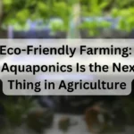 Eco-Friendly-Farming-Why-Aquaponics-Is-the-Next-Big-Thing-in-Agriculture