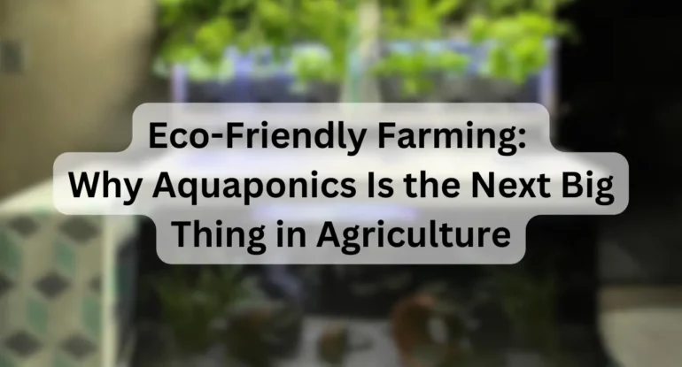 Eco-Friendly-Farming-Why-Aquaponics-Is-the-Next-Big-Thing-in-Agriculture