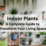 Indoor-Plants-A-Complete-Guide-to-Transform-Your-Living-Space-1-1