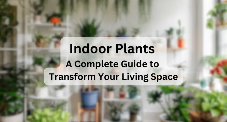 Indoor-Plants-A-Complete-Guide-to-Transform-Your-Living-Space-1-1